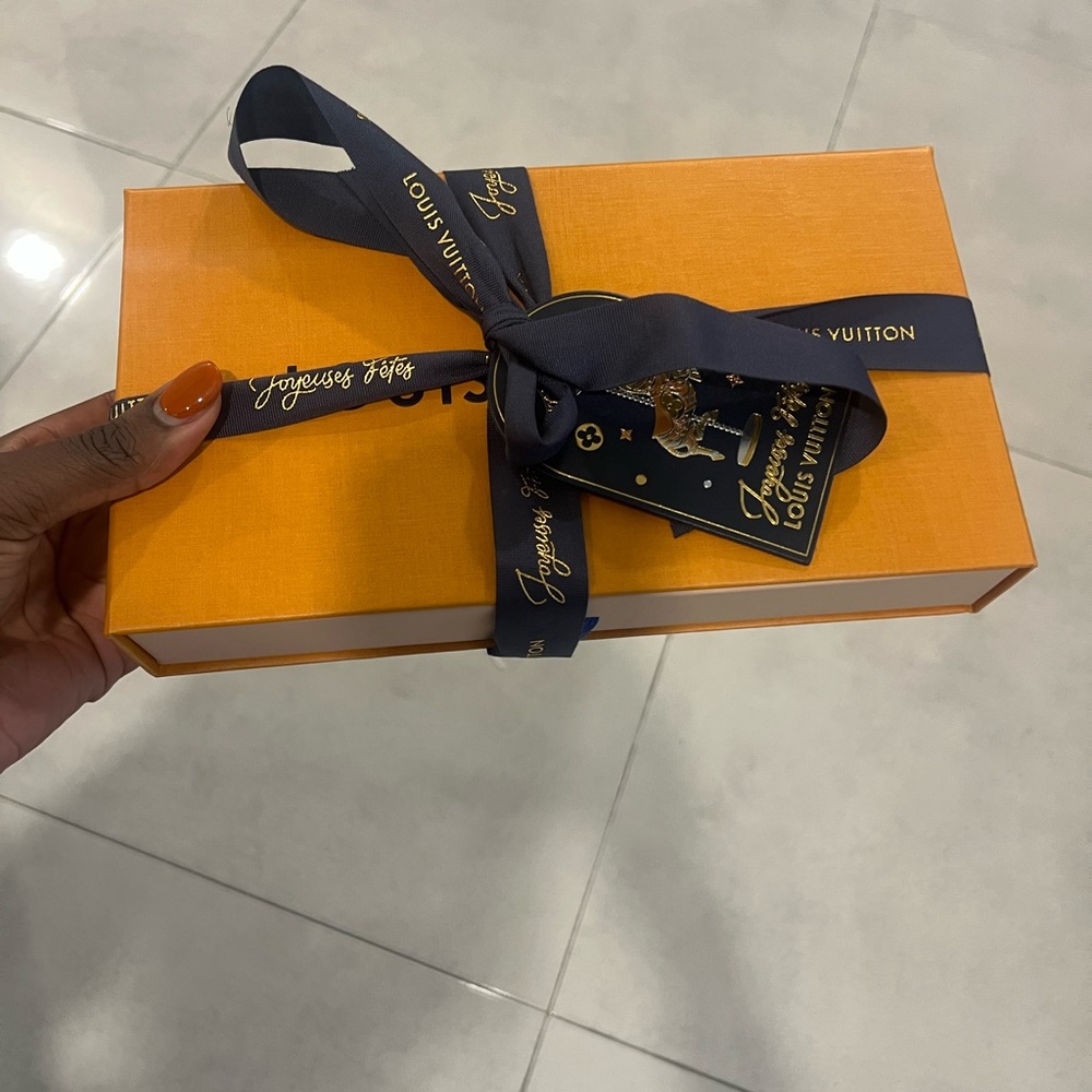 Original Louis V BAG, BOX, & ENVELOPE, that came with my Félicie Pochette